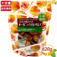 ��620g��yDELTA�z�������̉�����I�[�K�j�b�N���������� �f���^�C���^�[�i�V���i�� �h���C�t���[�c �����ʎ� �C�`�W�N�y�R�X�g�R�z