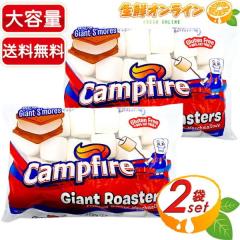 ��793g�~2�܃Z�b�g��yCAMPFIRE�z�L�����v�t�@�C���[ �}�V���}�� �W���C�A���g���[�X�^�[�Y ��e�� �r�b�O�T�C�Y  �L�����v �A�E�g�h�A B