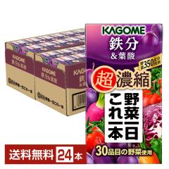 カゴメ 野菜一日これ一本 超濃縮 鉄分&葉酸 125ml 紙パック 24本 1ケース 送料無料