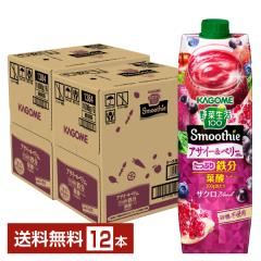 ��ؐ���100 Smoothie �A�T�C�[���x���[Mix �X���[�W�[ �J�S�� 1000g ���p�b�N 6�{�~2�P�[�X�i12�{�j ��������