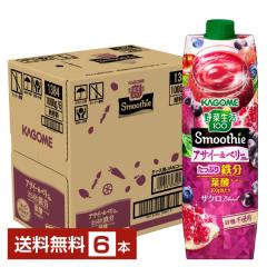 ��ؐ���100 Smoothie �A�T�C�[���x���[Mix �X���[�W�[ �J�S�� 1000g ���p�b�N 6�{ 1�P�[�X ��������