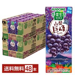 ���ʌ��� ��ؐ���100 �R������~�b�N�X �J�S�� 195ml ���p�b�N 24�{�~2�P�[�X�i48�{�j ��������