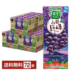 ���ʌ��� ��ؐ���100 �R������~�b�N�X �J�S�� 195ml ���p�b�N 24�{�~3�P�[�X�i72�{�j ��������