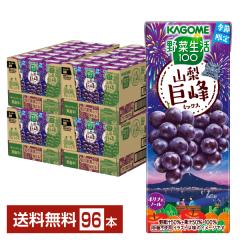 ���ʌ��� ��ؐ���100 �R������~�b�N�X �J�S�� 195ml ���p�b�N 24�{�~4�P�[�X�i96�{�j ��������