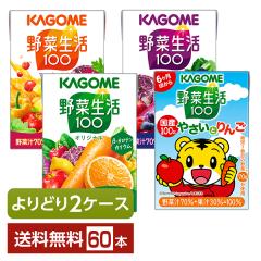 �I�ׂ� �J�S�� ��ؐ���100 ���ǂ�MIX 100ml ���p�b�N 60�{ �i30�{�~2���j���ǂ�2�P�[�X ��������