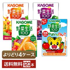 �I�ׂ� �J�S�� ��ؐ���100 ���ǂ�MIX 100ml ���p�b�N 120�{ �i30�{�~4���j���ǂ�4�P�[�X ��������