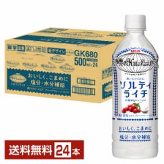 |Cg3{ MǑ΍ L EKitchen \eBC` 500ml ybg{g 24{ 1P[X 