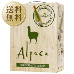 �������� �����C�� �`�� �T���^ �w���i �A���p�J �V�����h�l �Z�~���� 2025 3000ml 4�{ 1�P�[�X �����C�� �����s�� ��s��