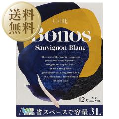 �������� �����C�� �`�� �{�m�X �\�[���B�j�����u�����i���j3000ml 4�{ 1�P�[�X �����C�� �����s�� ��s��