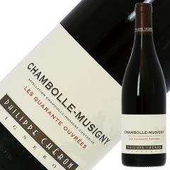 �ԃ��C�� �t�����X �h���[�k �t�B���b�v �V�F���� �V�����{�[�� �~���W�j�B �� �L�������g �E�[�u�� 2021 750ml