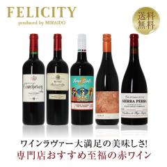 �y9�z�ԃ��C���Z�b�g �����̐ԃ��C�� �ԃ��C�� 5�{�Z�b�g ��21�e 750ml�~5 �������� ��s�� ���ݔ�� ���C���Z�b�g