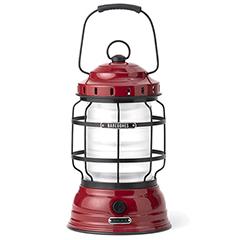 �x�A�{�[���Y Barebones �t�H���X�g �����^��LED2.0 ���b�h 20230003004000 �L�����v�p�i