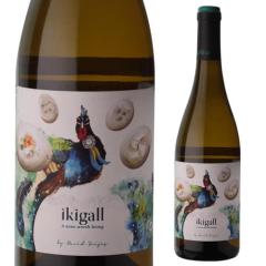 �C�L�K�C [2024] �K�b�W�[�i �f �s�G�� 750ml �X�y�C�� �`������ �h�� �I�[�K�j�b�N �r�I �G���u�W �����C�� �l�^