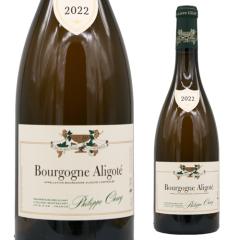 �u���S�[�j�� �A���S�e [2022] �h���[�k �t�B���b�v �V�����B 750ml �u���S�[�j�� �h�� �M�t�g �����C�� �l�^