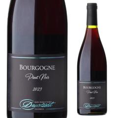 �u���S�[�j�� �s�m�m���[�� [2023]  �A�j�G�X �f�B�f�B�G �G �t������ �h�[���B�T 750ml �u���S�[�j�� �h�� �t���{�f�B �ԃ��C�� �l�^
