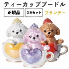 正規品 ブランデー 箱付き ティーカッププードル デキャンタ 3本セット ローズ マロン ブラン 500ml 40度 陶器ボトル 送料無料