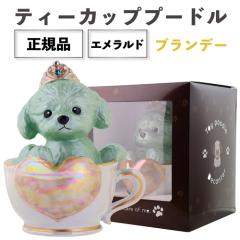 �V���i ���K�i ���t�� �e�B�[�J�b�v�v�[�h�� �G�������h 500ml 40�x ����{�g�� �u�����f�[ �|�A���[�t�� �M�a�N���X�^�� �v�[�h�� ��