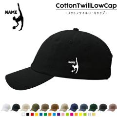 V̑E{[/RbgcC[Lbv  Xq Lbv UVJbg MǑ΍ UV΍ 悯 jO AEghA W