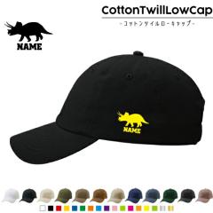 gPgvX3  RbgcC[Lbv  Xq Lbv UVJbg MǑ΍ UV΍ 悯 jO AEghA W