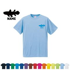 uV[JXvhCTVc O K fB[X Y EFA gbvX ^ X|[cEFA WMO z