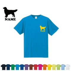 S[fgo[/hCTVc ʃVGbg  O K fB[X Y EFA gbvX ^ X|[cE