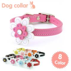 y[֑Ήz{v U[ 8xt[ S/M TCY Happy { lC XtXL[ nbs[ănbs[ v hbO 