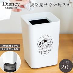 S~ fBYj[ DISNEY ~bL[   Ȃ  p^ ~j 2.0L AXx N[ _Xg{bNX  r