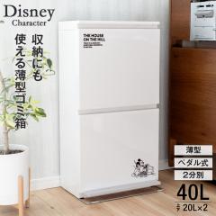 �S�~�� ������� �L�b�`�� �f�B�Y�j�[ DISNEY �~�b�L�[ ���� 2�i 40���b�g�� �y�_�� �A�X�x�� 2���� �c�^ 40L ��e�� �W�t�� ���ݔ�