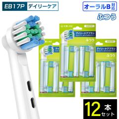 �݊�LAB �I�[����B�p �ւ��u���V �u���E���݊� �f�C���[�P�A�u���V EB17P 12�{ �ʏ� �ӂ� �u���V �ւ��u���V �d�����u���V �J���[����