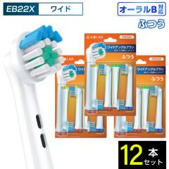 �݊�LAB �I�[����B�p �ւ��u���V �u���E���݊� ���C�h�A���O���u���V EB22X 12�{ �|�C���g�P�A �ӂ� �u���V �ւ��u���V �d�����u���V 