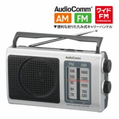 AudioComm |[^uWI AM/FMbRAD-T207S 03-0973 I[d@