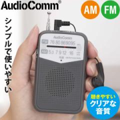 AudioComm AM/FM|PbgWI O[bRAD-P133N-H 03-7242 I[d@