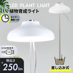 �A���琬���C�g �������ݎ��bTT-YG01NA1A-W 06-5237 �I�[���d�@