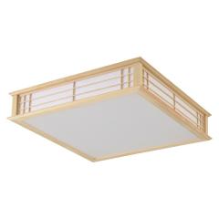 LED�a���V�[�����O���C�g ���� 12���p �����F�bLE-W50DBK2-K 06-5252 �I�[���d�@