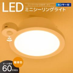 LED~jV[OCg ZT[t 60` 920[ dFbLE-Y9LG-W-PIR 06-5509 I[d@