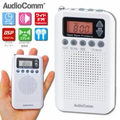 AudioComm FMXeI/AM|PbgWI DSP ChFM zCg RAD-P350N-W 07-8184 OHM