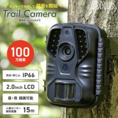 �h�ƃJ���� �d�r���g���C���J�����bOSE-PM10 09-1900 �I�[���d�@