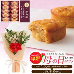 ��̓��M�t�g �����ˈ� & �\�[�v�t�����[ ���َq�Ƃ��ԃZ�b�g �Ό��̂��ԂƃX�C�[�c�Z�b�g �J�[�l�[�V�����u�[�P �a�� �X�C�[�g�|�e�g ��