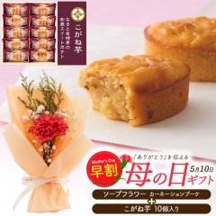 ��̓��M�t�g �����ˈ� & �\�[�v�t�����[ ���َq�Ƃ��ԃZ�b�g �Ό��̂��ԂƃX�C�[�c�Z�b�g �J�[�l�[�V�����u�[�P �a�� �X�C�[�g�|�e�g ��