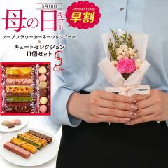 ��̓��M�t�g ������˓� �Ă��َq�l�ߍ��킹 & �\�[�v�t�����[ �J�[�l�[�V���� ���َq�Ƃ��ԃZ�b�g �L���[�g�Z���N�V���� ���َq �m�َq