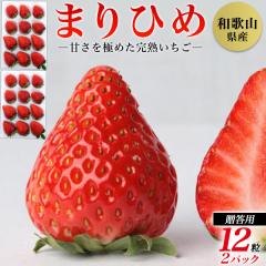 �y1�����{���ח\��z� �܂�Ђ� 12���~2�p�b�N �����p �G�i�ȏ� ���n �M�t�g�{�b�N�X���� �a�̎R���Y � 12�~2�p�b�N ���Y ���{�Y ��