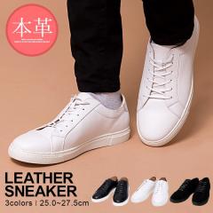 �X�j�[�J�[ �����Y ������� �V���[�Y �C �N�c ���� �{�v ���[�X�A�b�v �C �V���[�Y ���U�[ ���[�J�b�g �V���v�� �x�[�V�b�N ���n �u���b