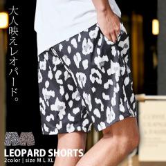 �n�[�t�p���c �����Y �u�����h ������� �{�g���X �V���[�c �V���[�g�p���c �G�� �Ђ��� ���Y�{�� ���I�p�[�h�� ���� ������� ��l �A��