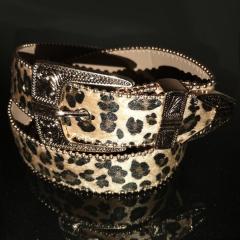 �x���g �����Y �u�����h �J�W���A�� ������� �N���X �\���� ���B�W���A���n �r�W���A���n V�n ���h�n �X�g���[�g�n ���[�h�n ���Z�n �J