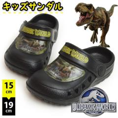 y񂹁zWVbN[h T_ LbY 2WAY  NbO T{T_ AEghAT_ r[`T_ ̑n T-