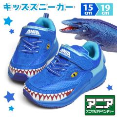 �y���񂹁zANIA �A�j�A �L�b�Y�X�j�[�J�[ �q�� �X�j�[�J�[ �A�j�}���A�h�x���`���[ �L�b�Y �V���[�Y �y�� �^���C �q���p �x���N�� �}�W