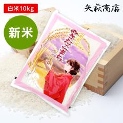 yVāzyzߘa7NY R`Y ܂ 10kg ꥗ւ̔z+1,000~ƂȂ܂