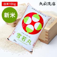 yVāzyzߘa7NY R`Y  10kg ꥗ւ̔z+1,000~ƂȂ܂