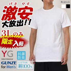 �V�� �C���i�[�V���c �A���_�[�V���c T�V���c �����Y GUNZE �O���[ 3L ���� yg �j������ ��100�� �R�b�g�� ���� ���� �X�|�[�c