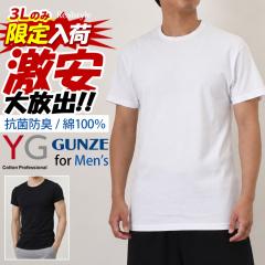 �V�� �C���i�[�V���c �A���_�[�V���c T�V���c �����Y GUNZE �O���[ 3L ���� yg �j������ ��100�� �R�b�g�� ���� ���� �X�|�[�c